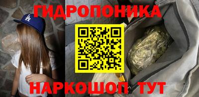 стаф Будённовск